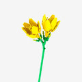 Yellow Freesia - Main Image | TheBrickTube