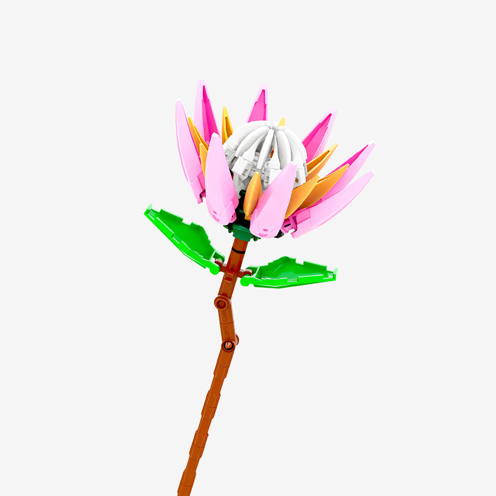 Pink Protea flower - Main Image | TheBrickTube