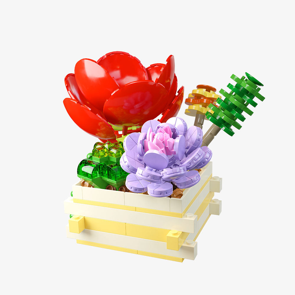 Succulent Garden Scarlet Whisper - Main Image | TheBrickTube