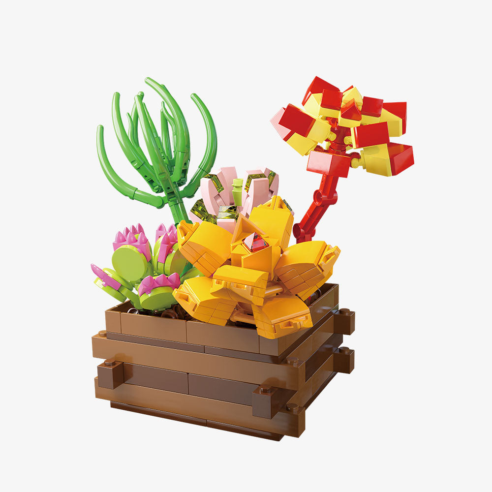 Succulent Garden Summer Dew - Main Image | TheBrickTube