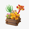 Succulent Garden Summer Dew - Main Image | TheBrickTube