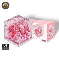 LOVE-Box Building Blocks - Main Image | TheBrickTube