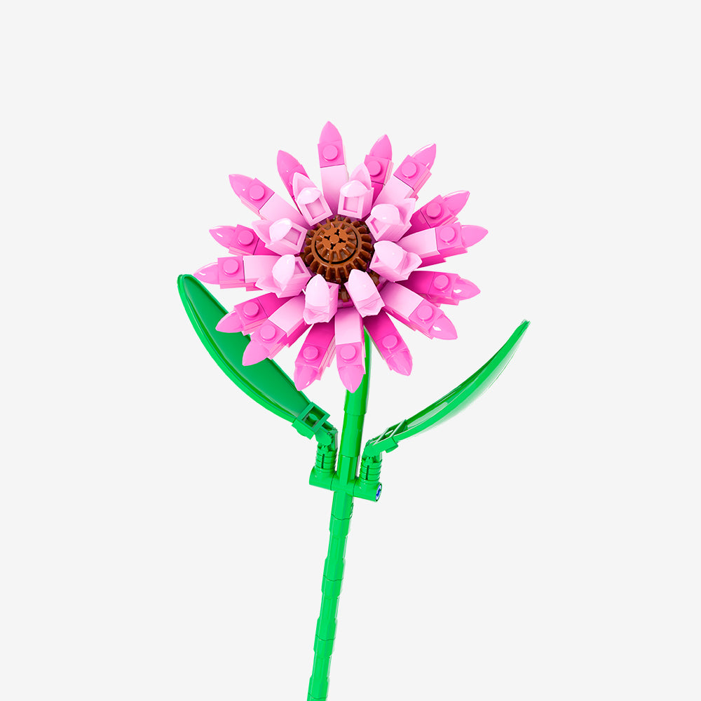 Pink Barberton Daisy - Main Image | TheBrickTube