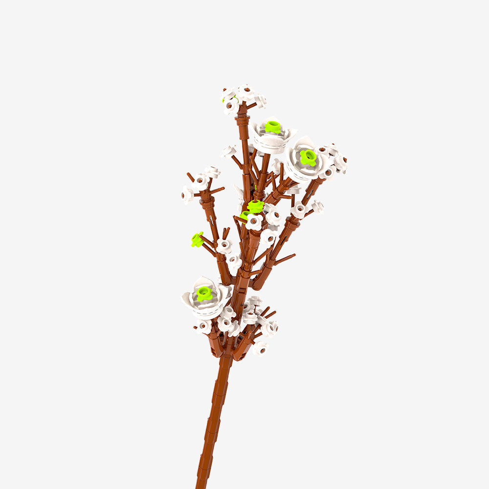 White Wax Flower - Main Image | TheBrickTube